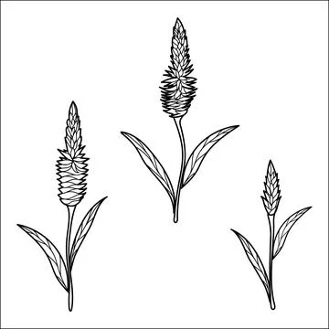 Surface pattern design. Great for retro summer fabric, scrapbooking, gift wra Stock Illustration