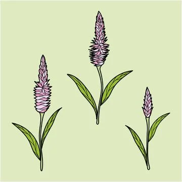 Surface pattern design. Great for retro summer fabric, scrapbooking, gift wra Stock-Illustration