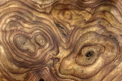 Surface pattern of a furniture panel made from expensive decorative wood Stock Photos
