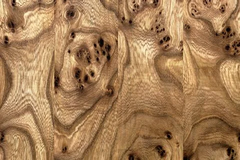 Surface pattern of a furniture panel made from expensive decorative wood Stock Photos