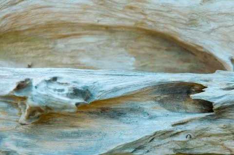 Surface pattern of nature Wood Stock Photos