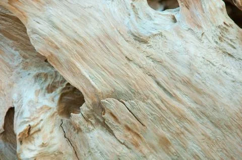 Surface pattern of nature Wood Stock Photos