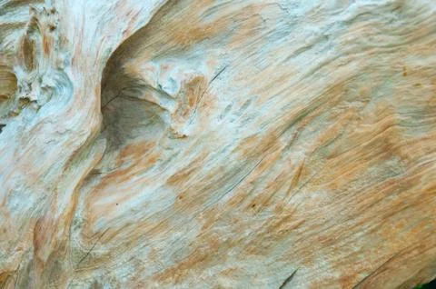 Surface pattern of nature Wood Stock Photos