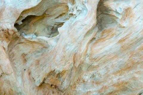 Surface pattern of nature Wood Stock Photos