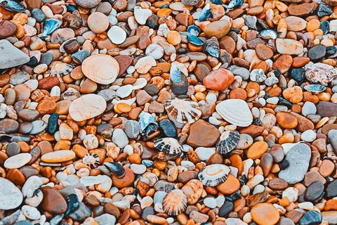 Surface of pebbles and shell, close up, natural pattern Stock Photos