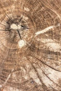 Surface Stock Photos