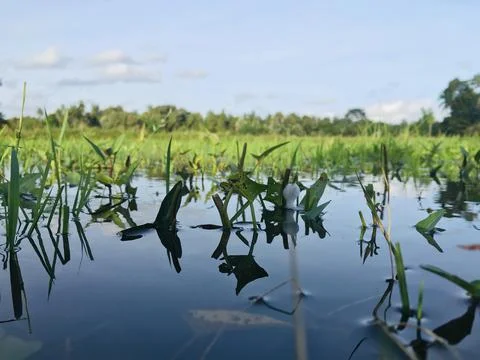 Surface Stock Photos