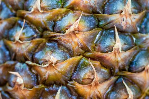 Surface of pineapple Skin close up texture Stock Photos