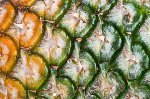 The surface of pineapple in thailand Stock Photos