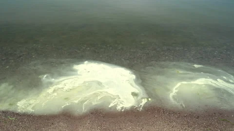 Surface of a polluted body of water , Lake Baikal concept of ecological disas Stock Footage 201170183