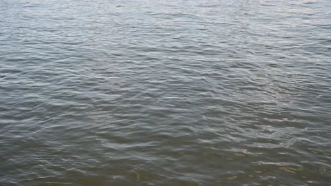 Surface of polluted river. Dirty brown water. Stock Footage 239691592