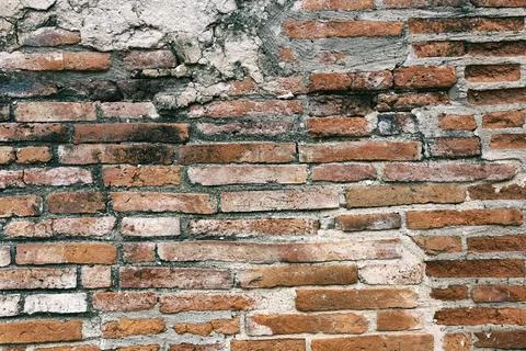 Surface of the red brick wall is old, dirty and covered with black mold. Stock Photos