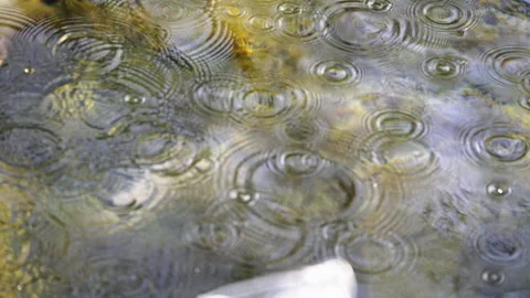 The surface of the reservoir Stock Footage 193333922