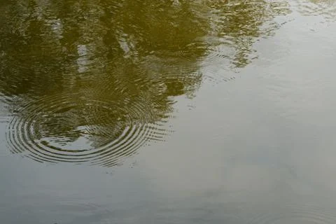 The surface of the river with circles from raindrops Stock Photos