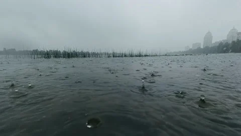 The surface of the river during the rain, against the background of the forest Stock Footage 138490553