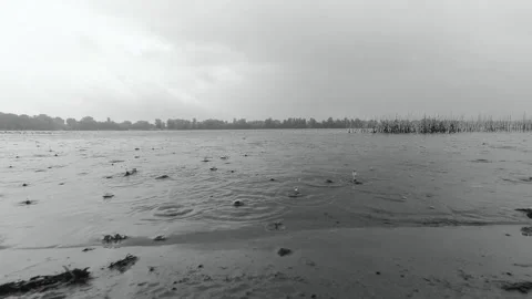 The surface of the river during the rain, against the background of the forest Stock Footage 138490592