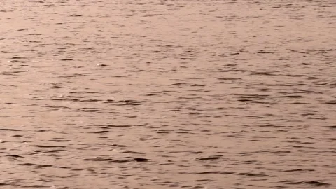 The surface of the river in the evening. Stock Footage 169240907