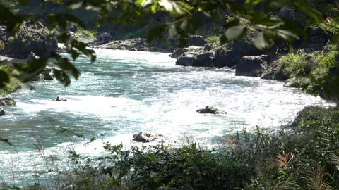 The surface of the river flow Stock Footage 161203413