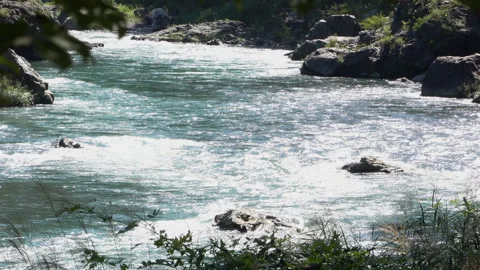 The surface of the river flow Stock Footage 161203429