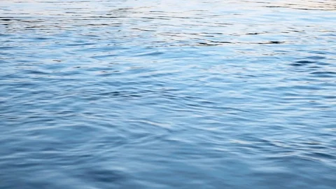 Surface of a river Stock Footage 115825287