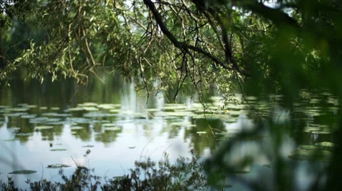 Surface of the river. Sliding Stock Footage 36217446