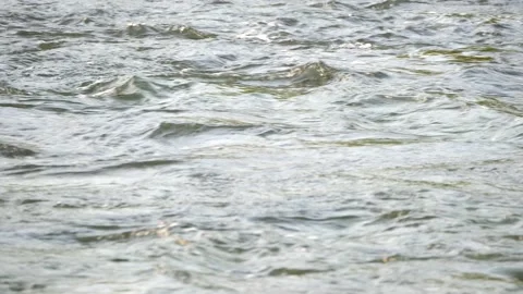 Surface of a river stream, 2x slow motion Stock Footage 168373112