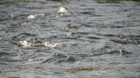 Surface of a river stream. Shallow depth of field, 180 fps slow motion Stock Footage 168379836