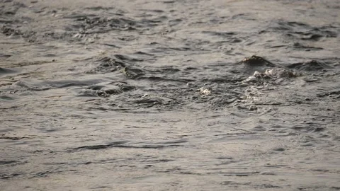 Surface of a river stream at sunset, 180 fps slow motion Video stock 168379802