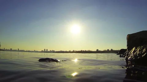 The surface of the river on a sunny day Stock Footage 48071403