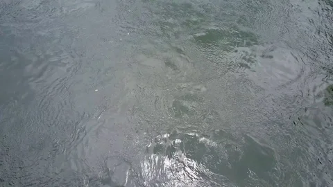 Surface river water flowing Vidéo 82769458