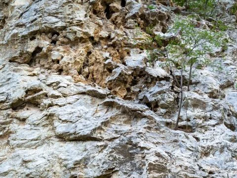 Surface of rocky mountains, Texture background Stock Photos