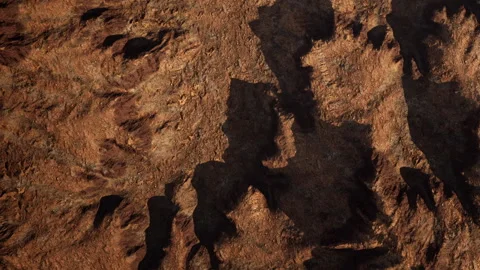 Surface of rocky terrain with detailed pattern showing various shades of brown Stock Footage 345013431