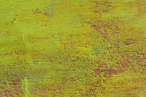 Surface of rusty iron with remnants of old paint texture background Stock Photos