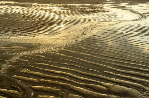 The surface of the sand 写真素材