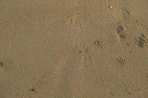 The surface of sand texture on the beach Stock Photos