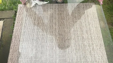 Surface Sanitation, Spring Cleaning Routines, Close-up View Video stock 337786150
