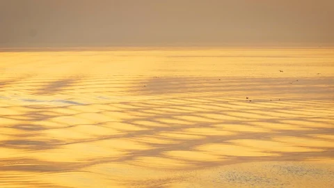 Surface of Sea at Dawn With Reflection of Sun Light and Seagulls Stock Footage 120178177