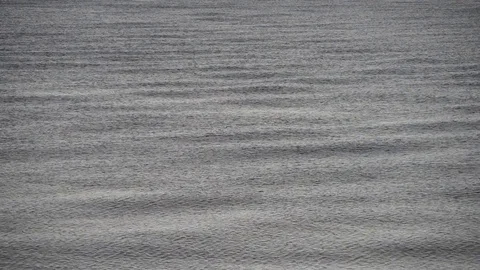 The surface of the sea moved by rain and wind Stock-Footage 83730655