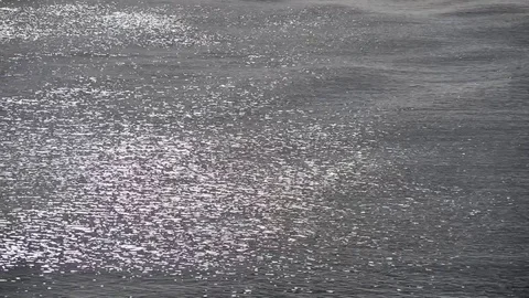 The surface of the sea moved by rain and wind Stock-Footage 83730907
