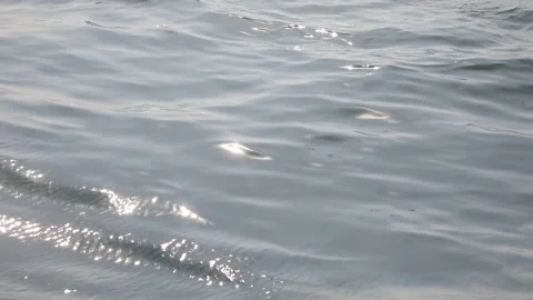 Surface of the sea with waves wave Video stock 303391205