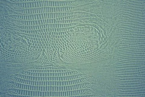 Surface with a serpentine pattern. Stock Photos