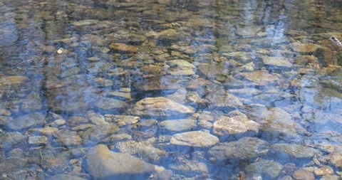The surface of a shallow mountain stream with a rocky bottom Stock Footage 195849290