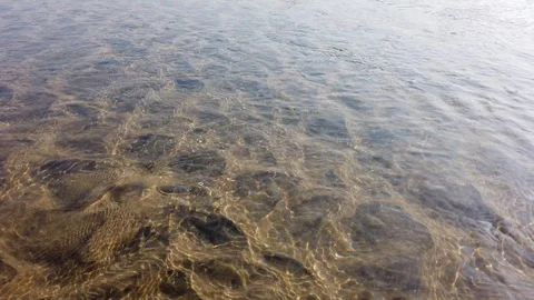 Surface of a shallow river with a sandy bottom Stock Footage 128839974