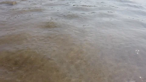 Surface of a shallow river with a sandy bottom Stock Footage 128842185