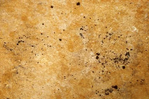 Surface shows texture with brown tones and dark spots in a natural setting, Stock Photos