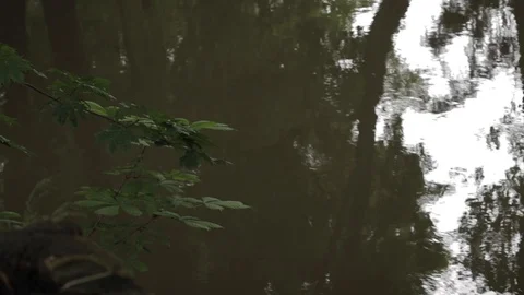 Surface of a small fast stream river in a city park Video stock 106091847