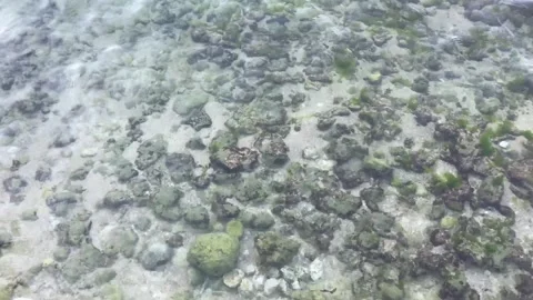 Surface of smooth clear beach waves surface. Stock Footage 295579540