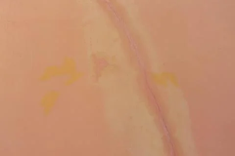 Surface of Smooth Orange cement wall texture background for design in your wo Stock Photos