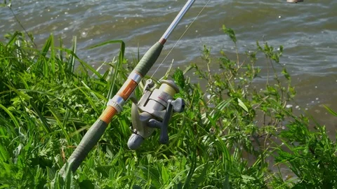 The surface of smooth water between the reeds,fishing rod, fishing, 4K Vidéo 76165170