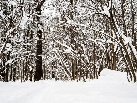 Surface of snowdrift and deep path in fresh snow Stock Photos